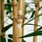 12ft. Green Artificial Bamboo Tree with Real Bamboo Trunks